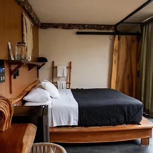 Hotell Bufo Alvarius, Tulum
